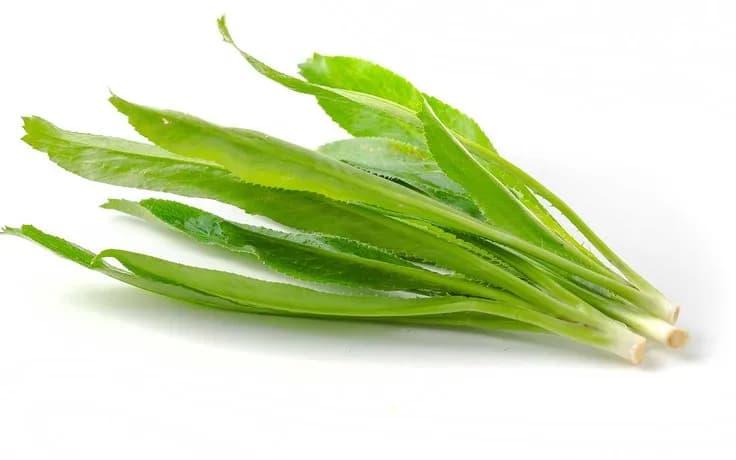 Rau Mùi Tàu 50g